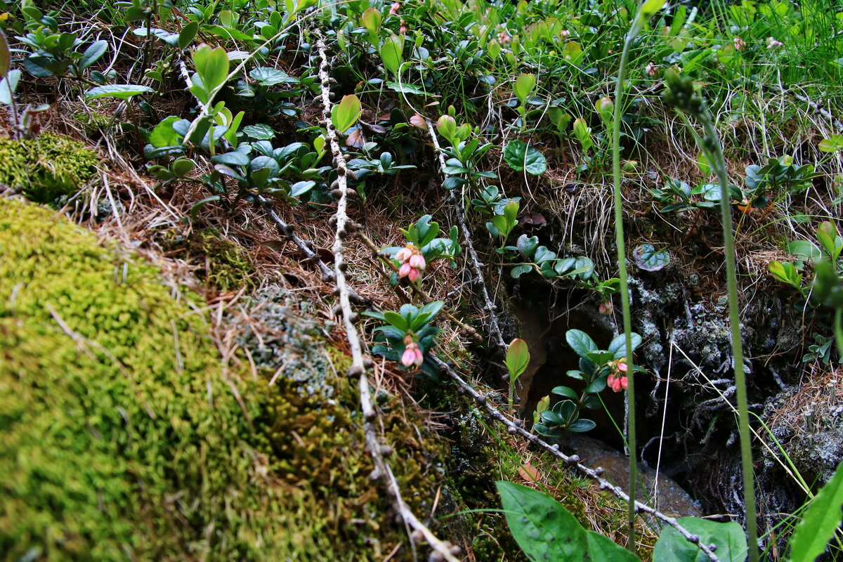 2015_06_14_002744p_Bildgr��e �ndern