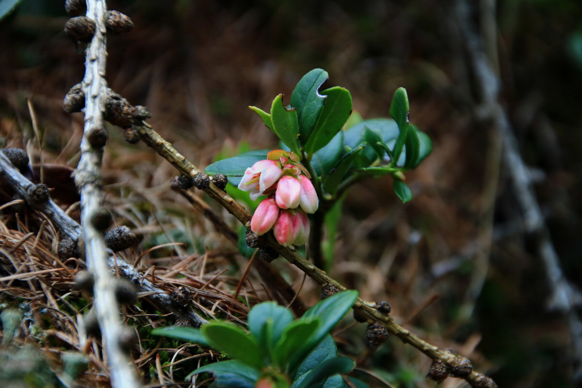 2015_06_14_002748p_Bildgr��e �ndern