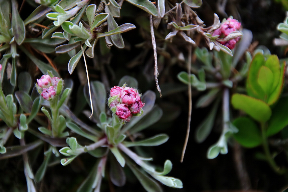 2015_06_14_002750p_Bildgr��e �ndern