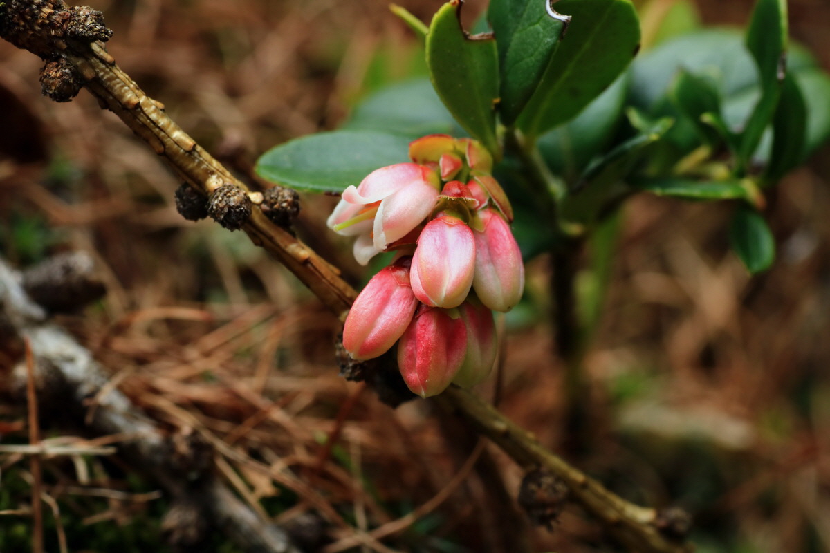 2015_06_14_002751p_Bildgr��e �ndern