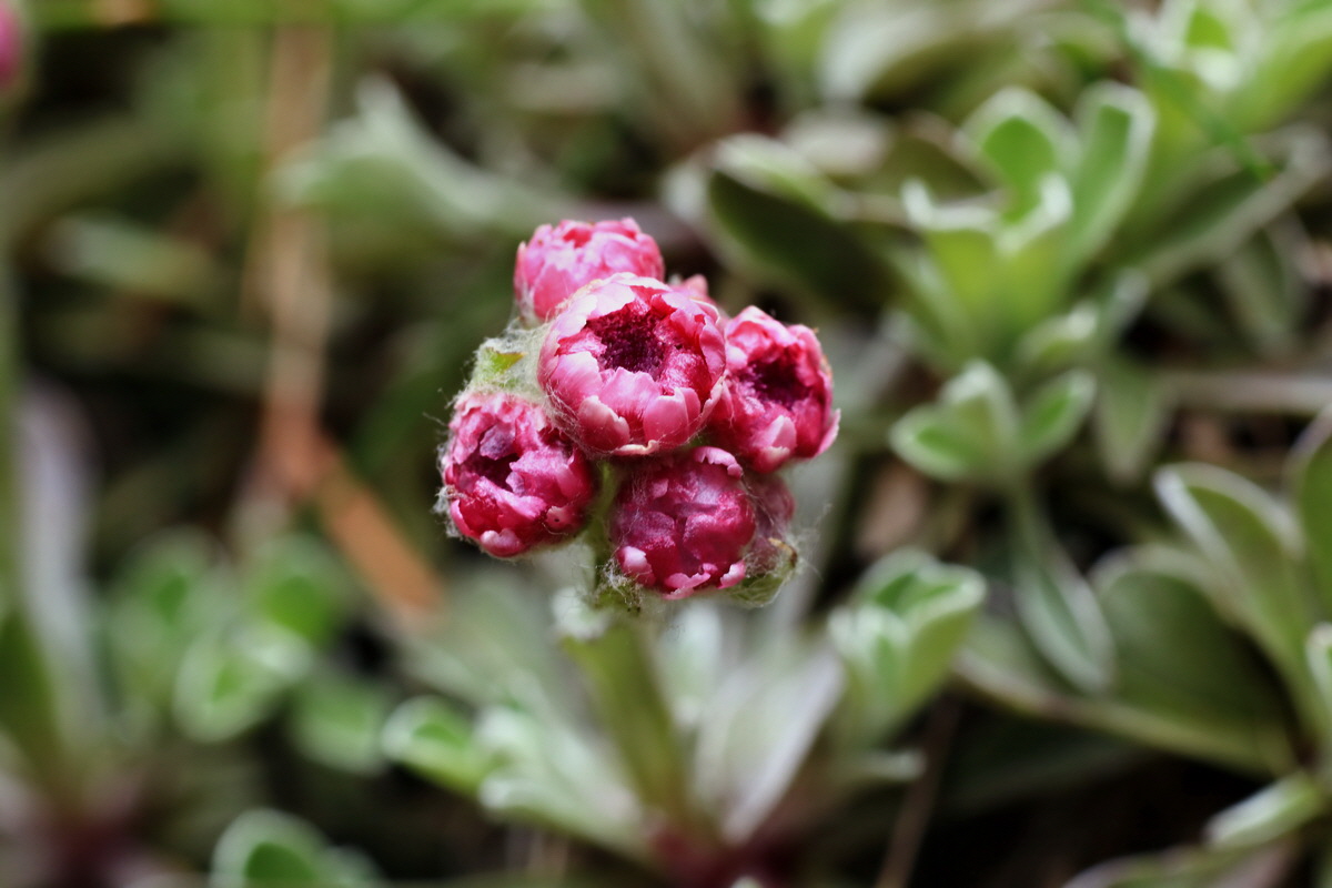 2015_06_14_002754p_Bildgr��e �ndern