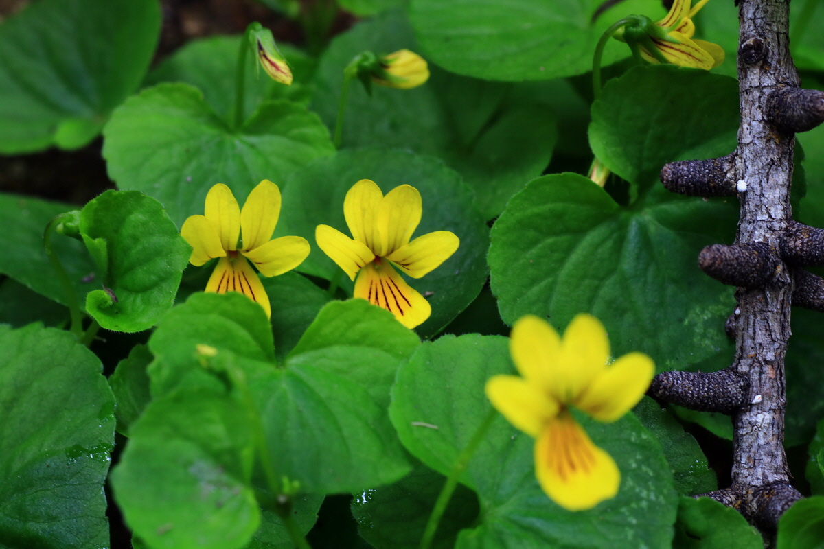 2015_06_14_002759p_Bildgr��e �ndern