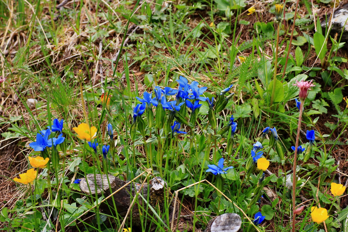 2015_06_14_002762p_Bildgr��e �ndern