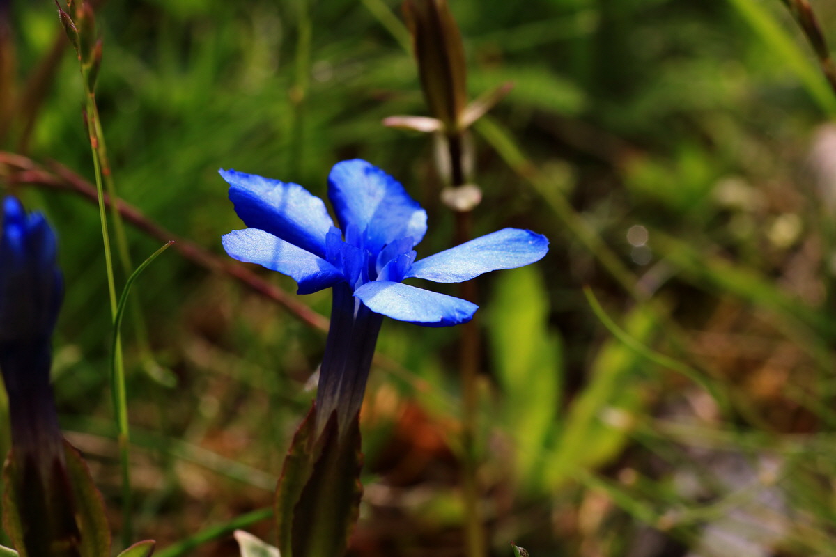 2015_06_14_002763p_Bildgr��e �ndern