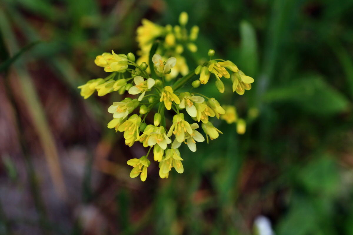 2015_06_14_002767p_Bildgr��e �ndern