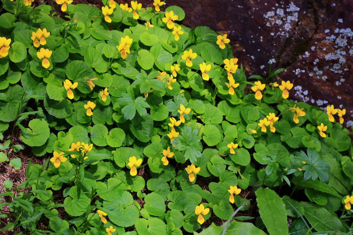 2015_06_14_002769p_Bildgr��e �ndern