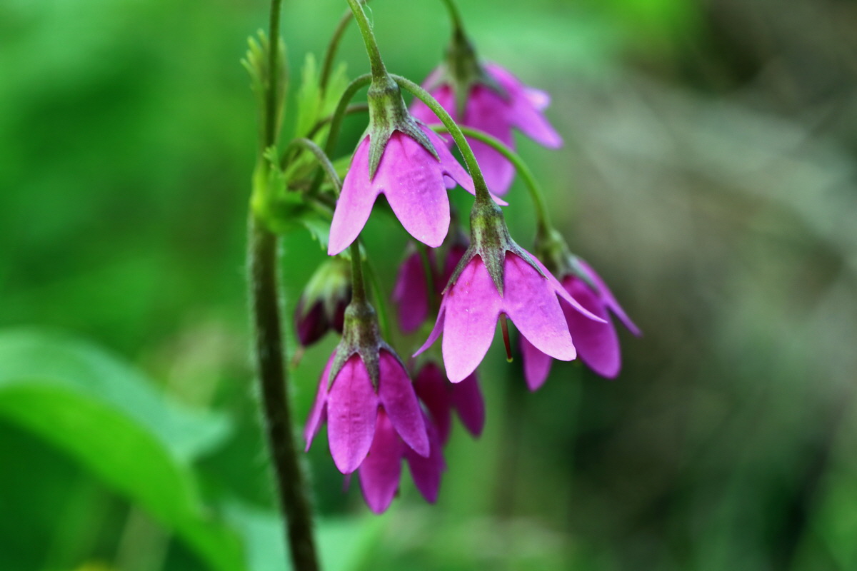 2015_06_14_002772p_Bildgr��e �ndern