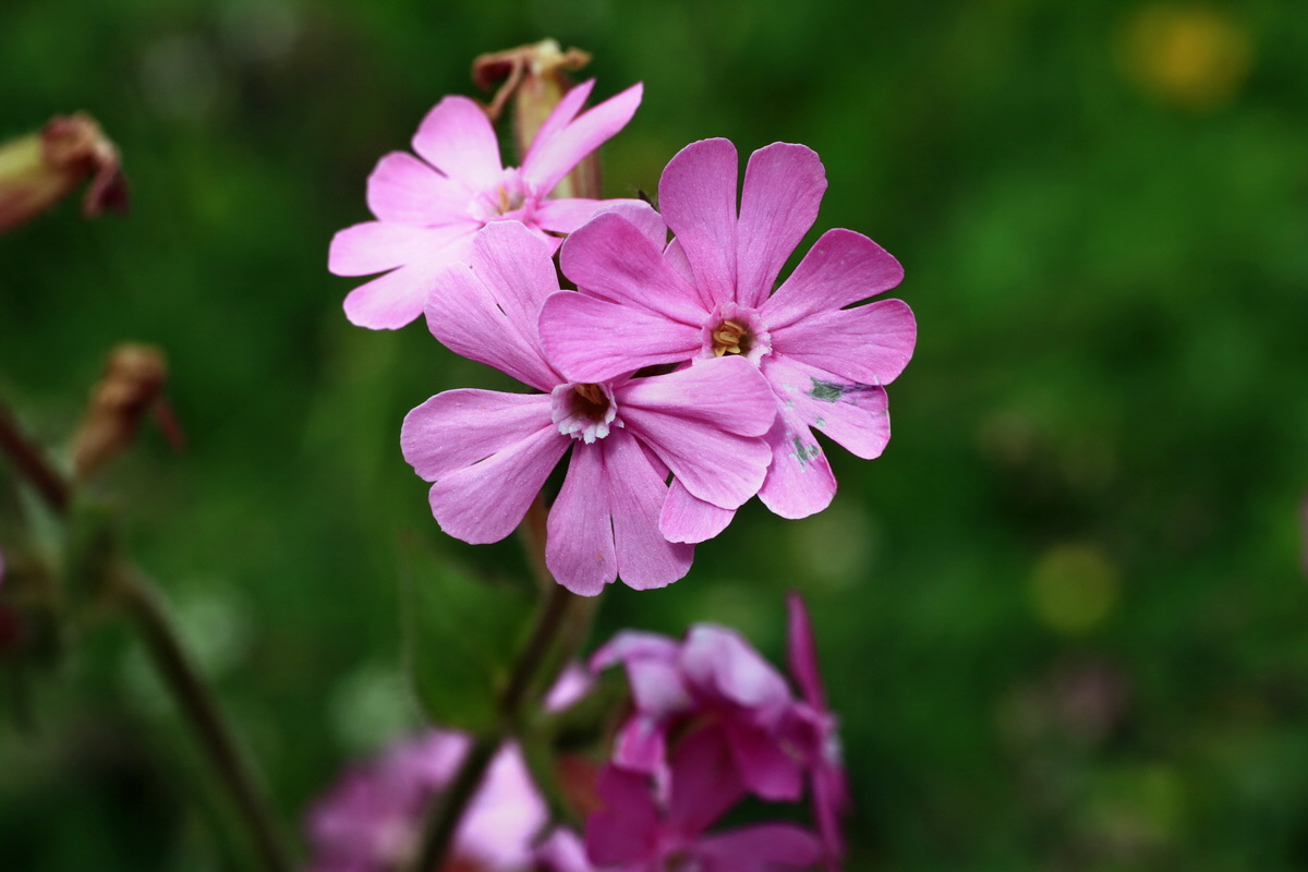 2015_06_14_002784p_Bildgr��e �ndern