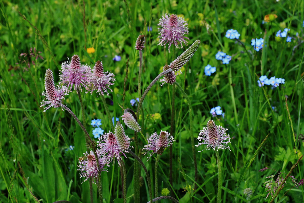 2015_06_14_002787p_Bildgr��e �ndern