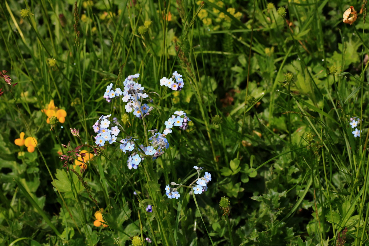 2015_06_14_002790p_Bildgr��e �ndern