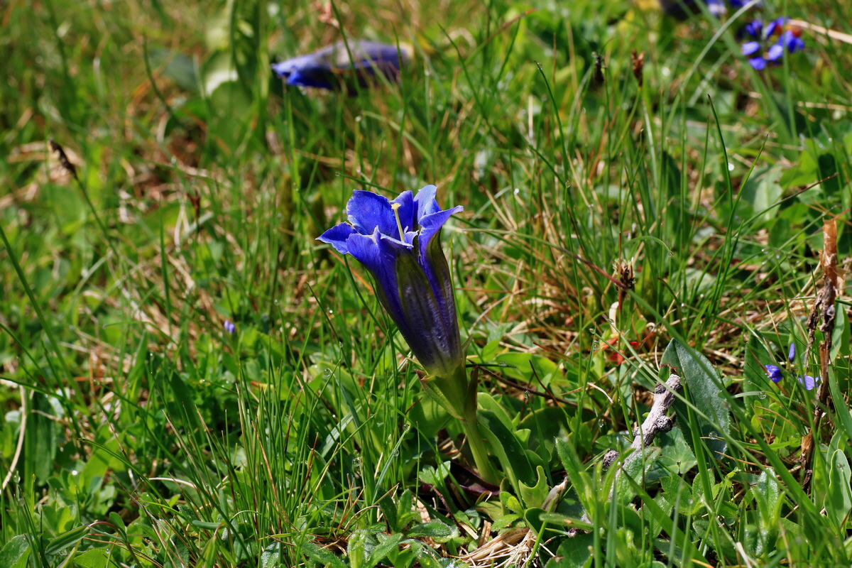 2015_06_14_002800p_Bildgr��e �ndern