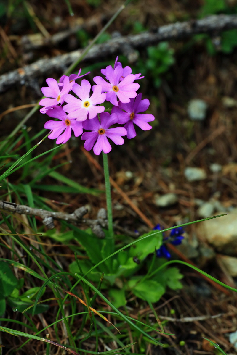 2015_06_14_002804p_Bildgr��e �ndern