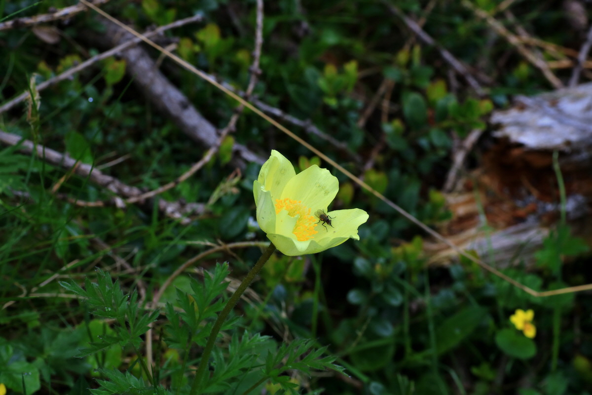 2015_06_14_002808p_Bildgr��e �ndern