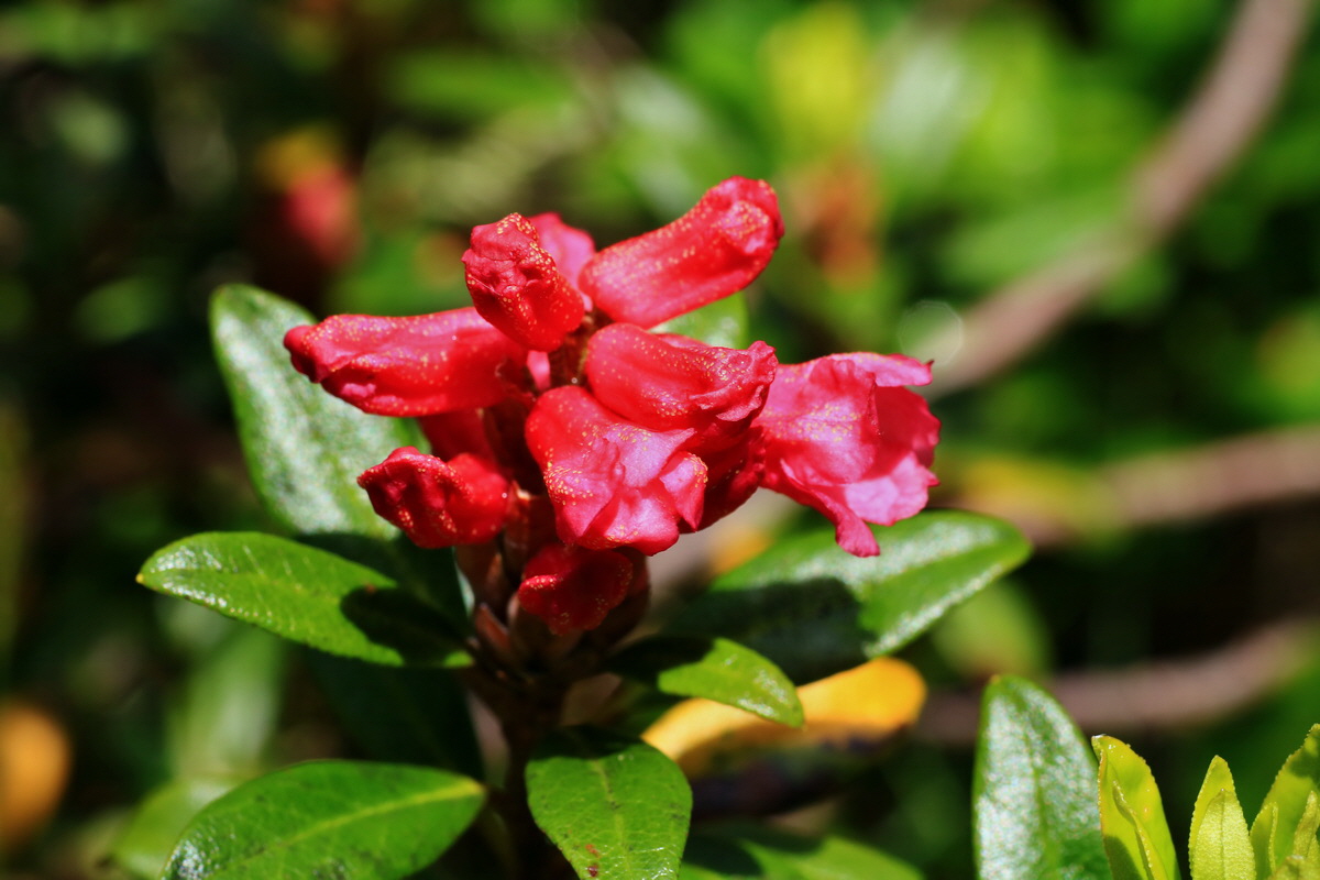 2015_06_14_002810p_Bildgr��e �ndern