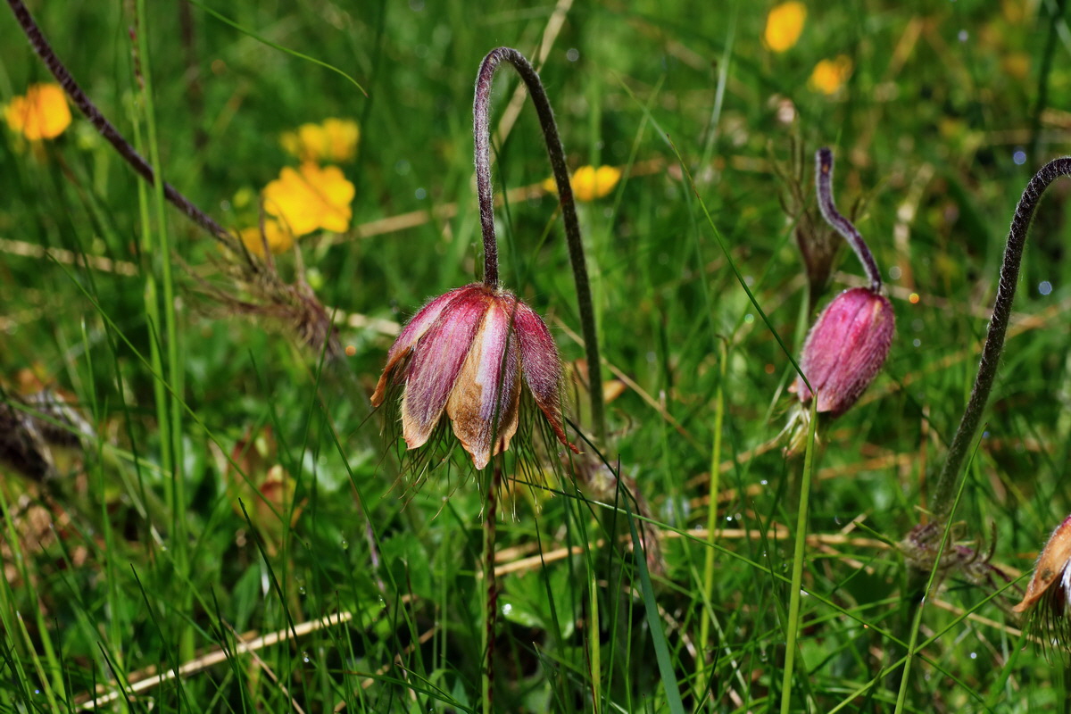 2015_06_14_002812p_Bildgr��e �ndern