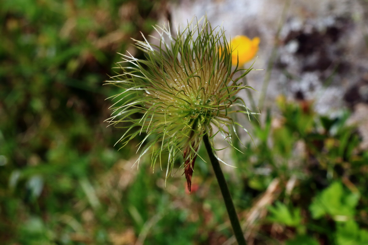 2015_06_14_002816p_Bildgr��e �ndern