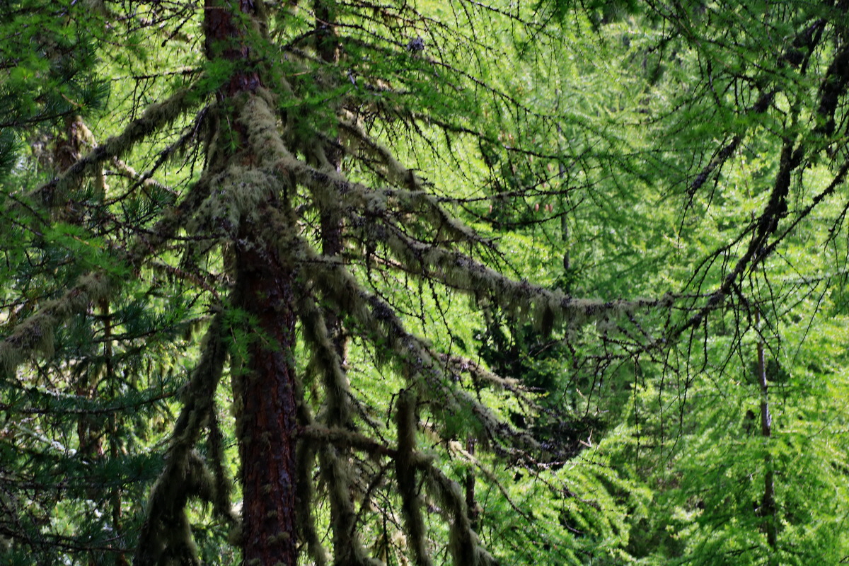 2015_06_14_002819p_Bildgr��e �ndern