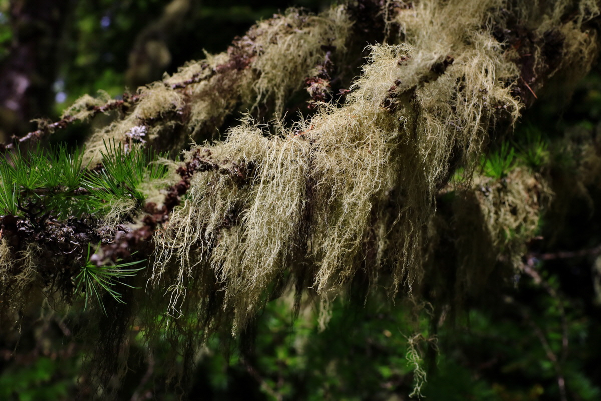 2015_06_14_002821p_Bildgr��e �ndern