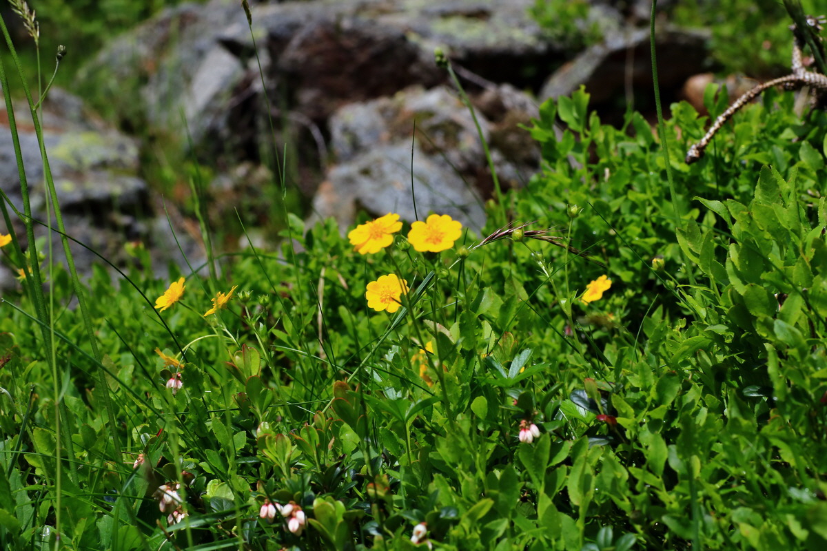 2015_06_14_002824p_Bildgr��e �ndern