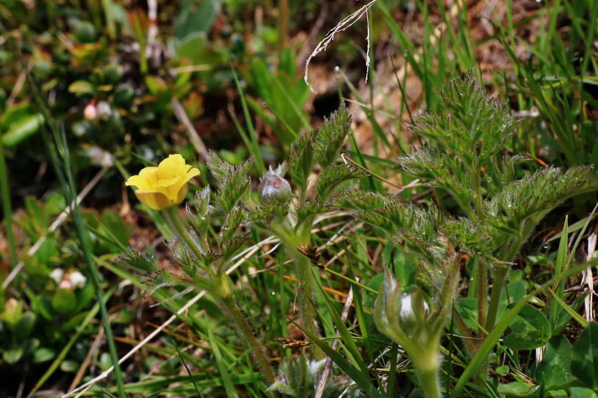 2015_06_14_002835p_Bildgr��e �ndern