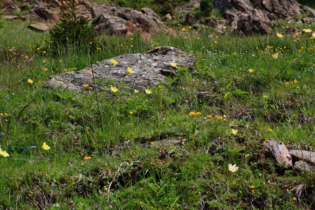 2015_06_14_002837p_Bildgr��e �ndern