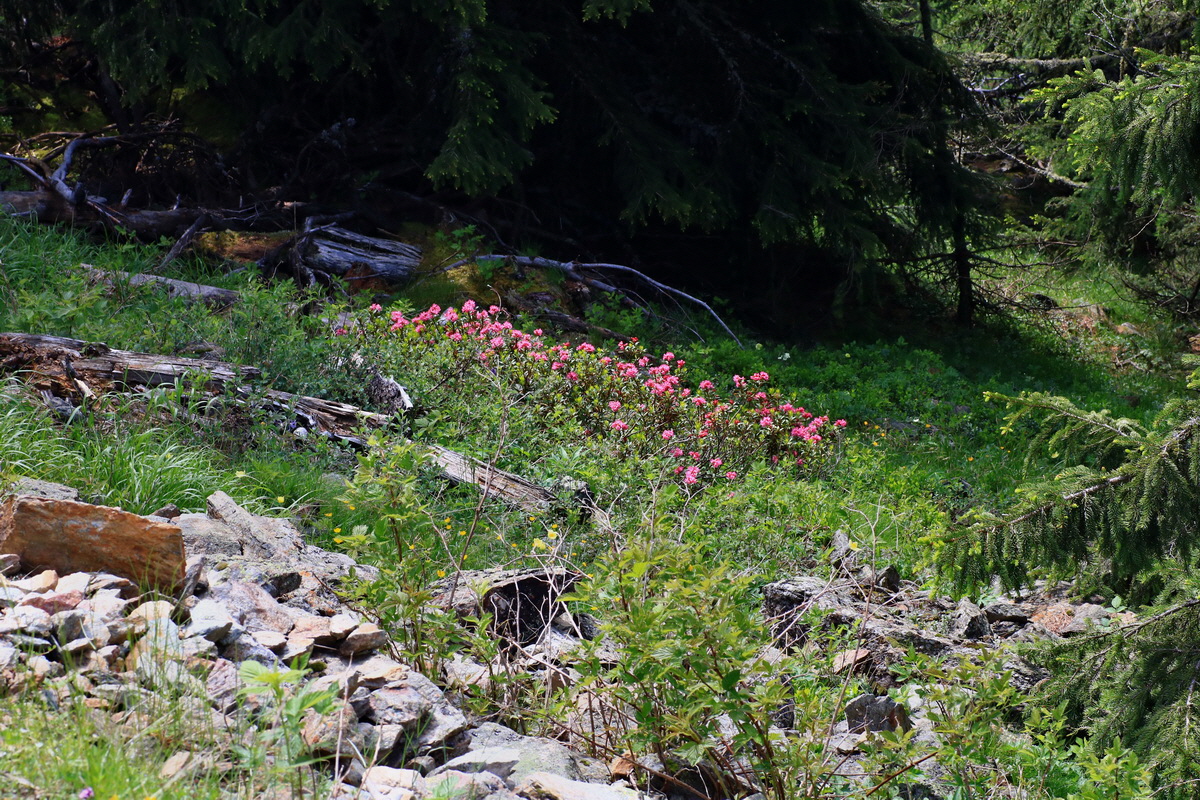 2015_06_14_002839p_Bildgr��e �ndern