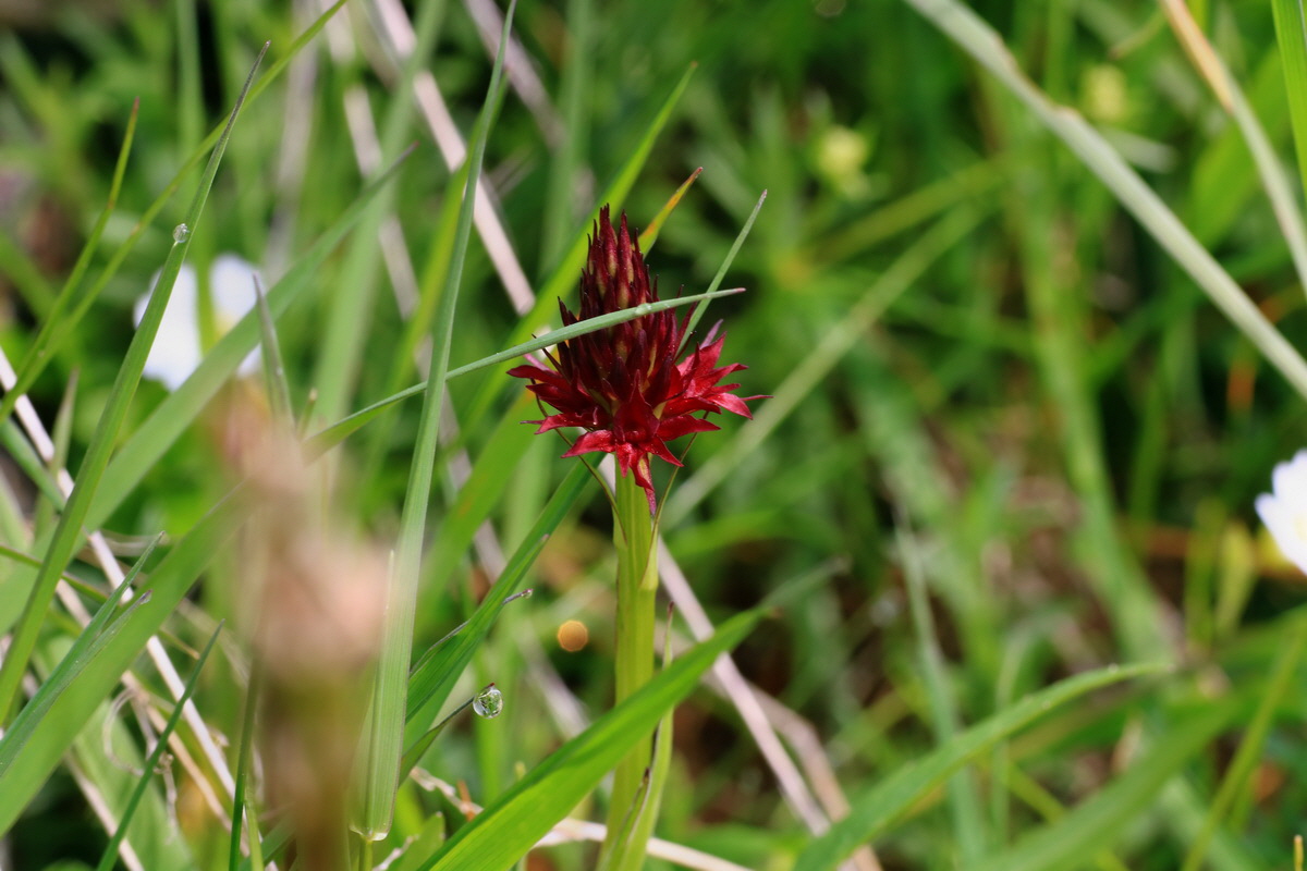 2015_06_14_002842p_Bildgr��e �ndern