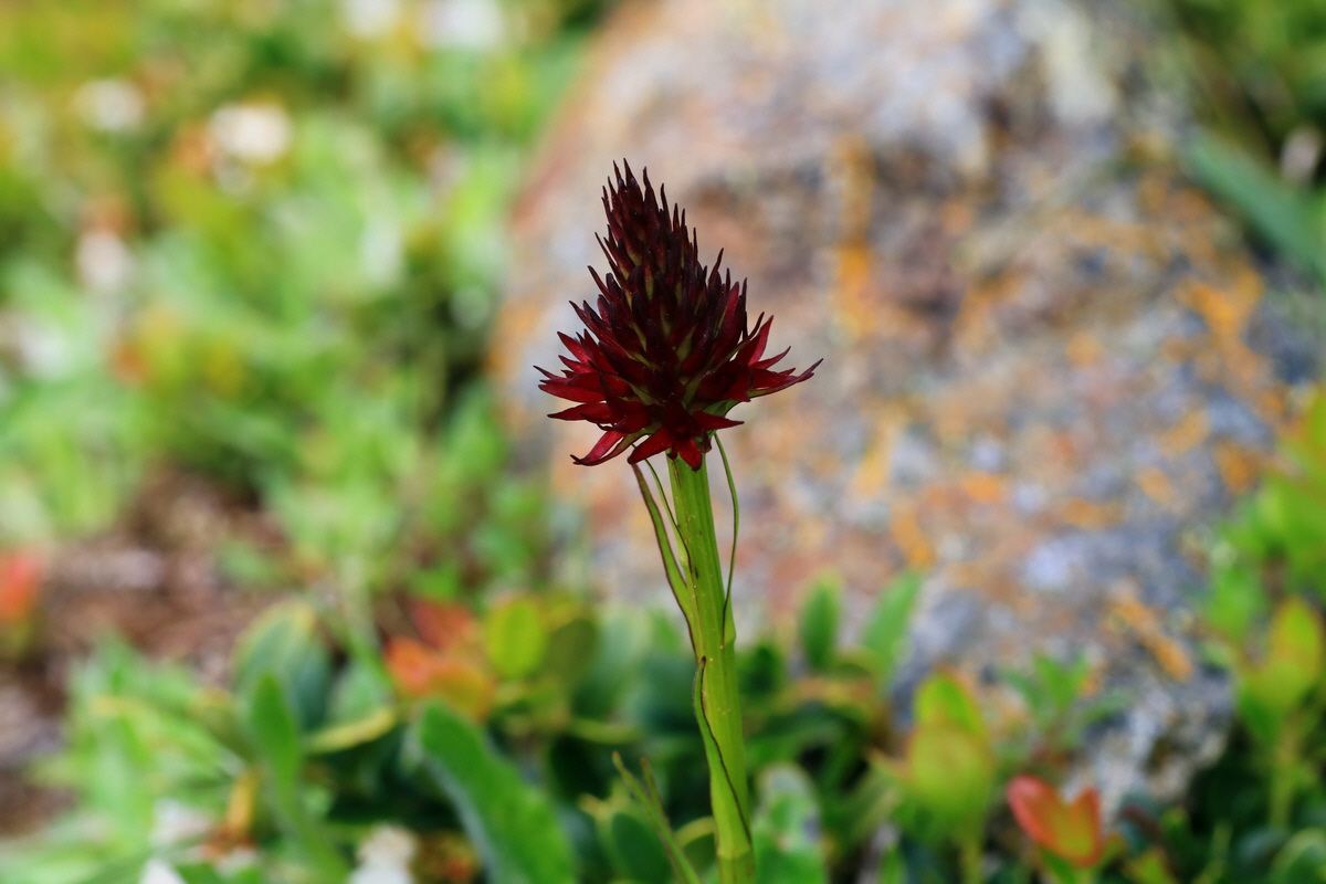 2015_06_14_002845p_Bildgr��e �ndern