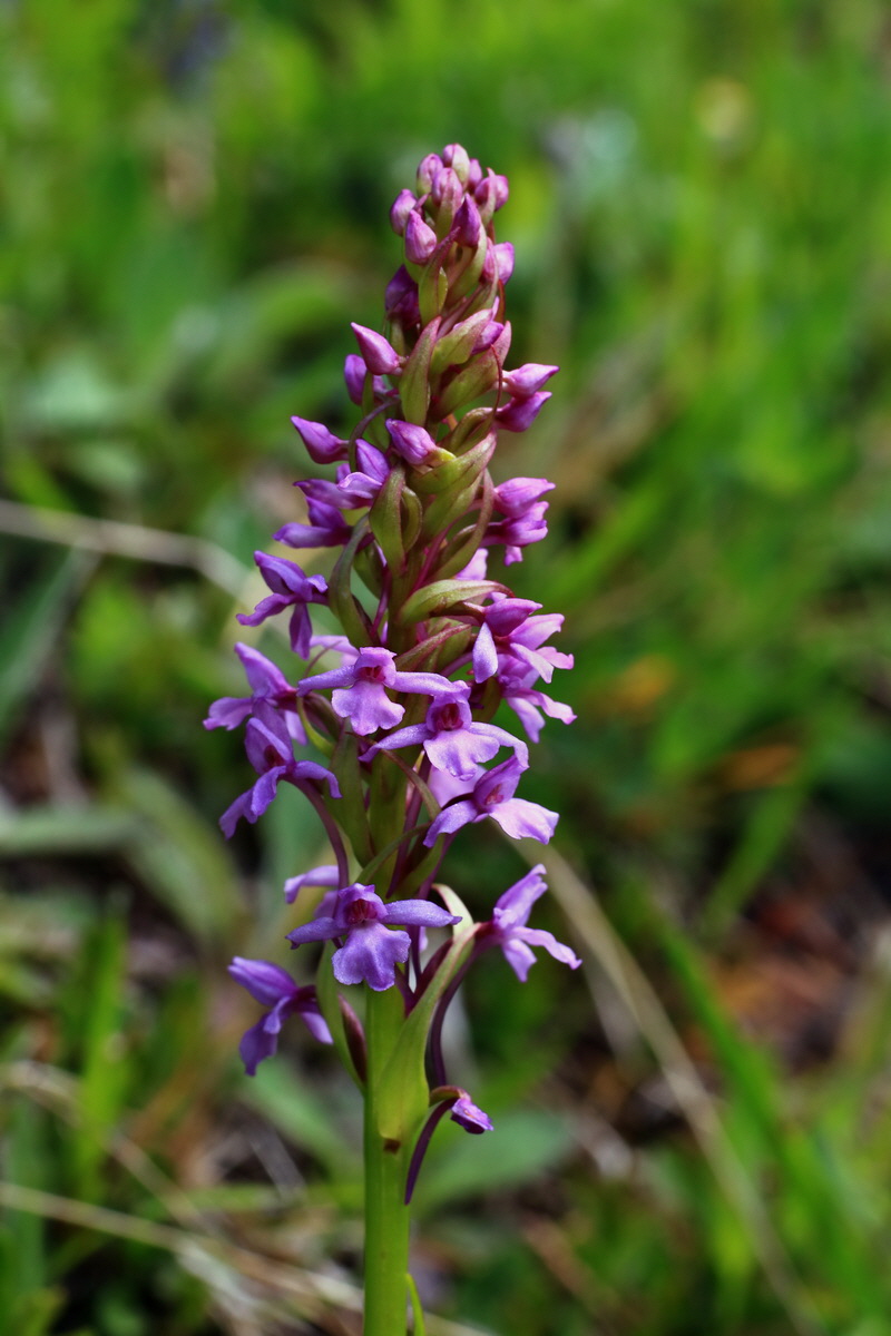 2015_06_14_002851p_Bildgr��e �ndern