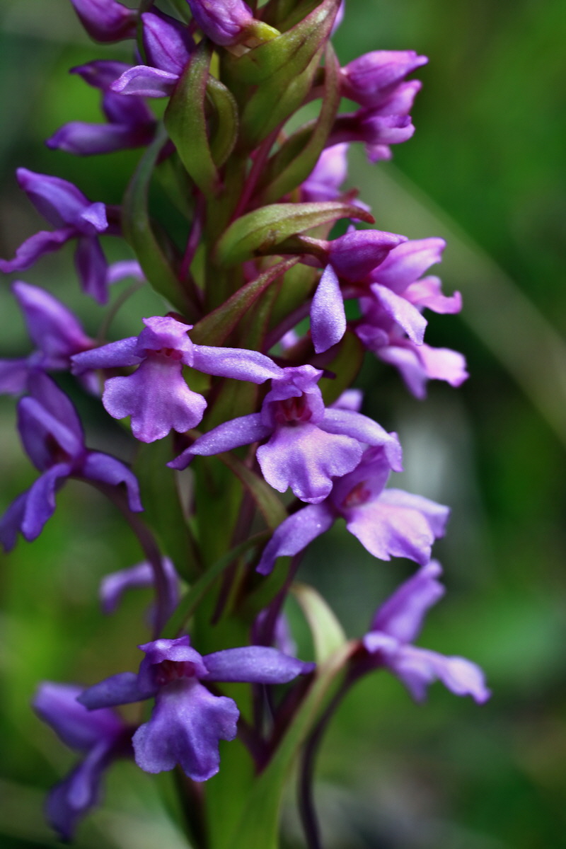 2015_06_14_002858p_Bildgr��e �ndern