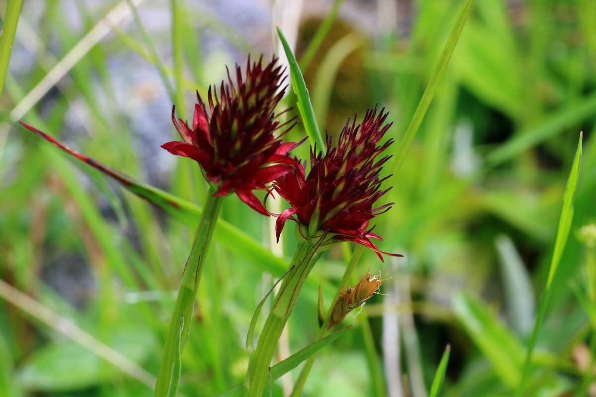 2015_06_14_002865p_Bildgr��e �ndern