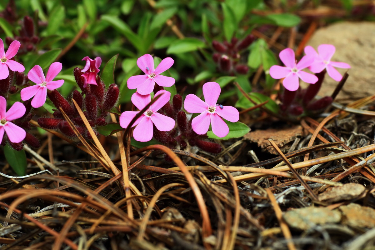 2015_06_14_002881p_Bildgr��e �ndern