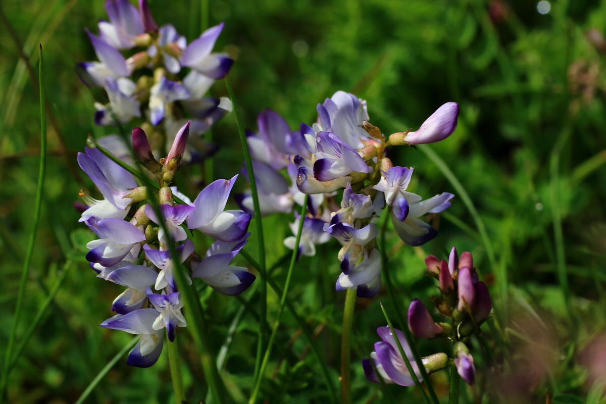 2015_06_14_002885p_Bildgr��e �ndern