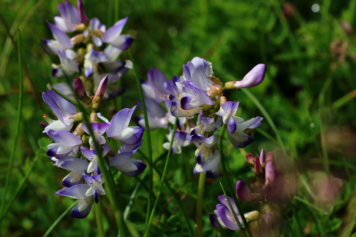 2015_06_14_002887p_Bildgr��e �ndern