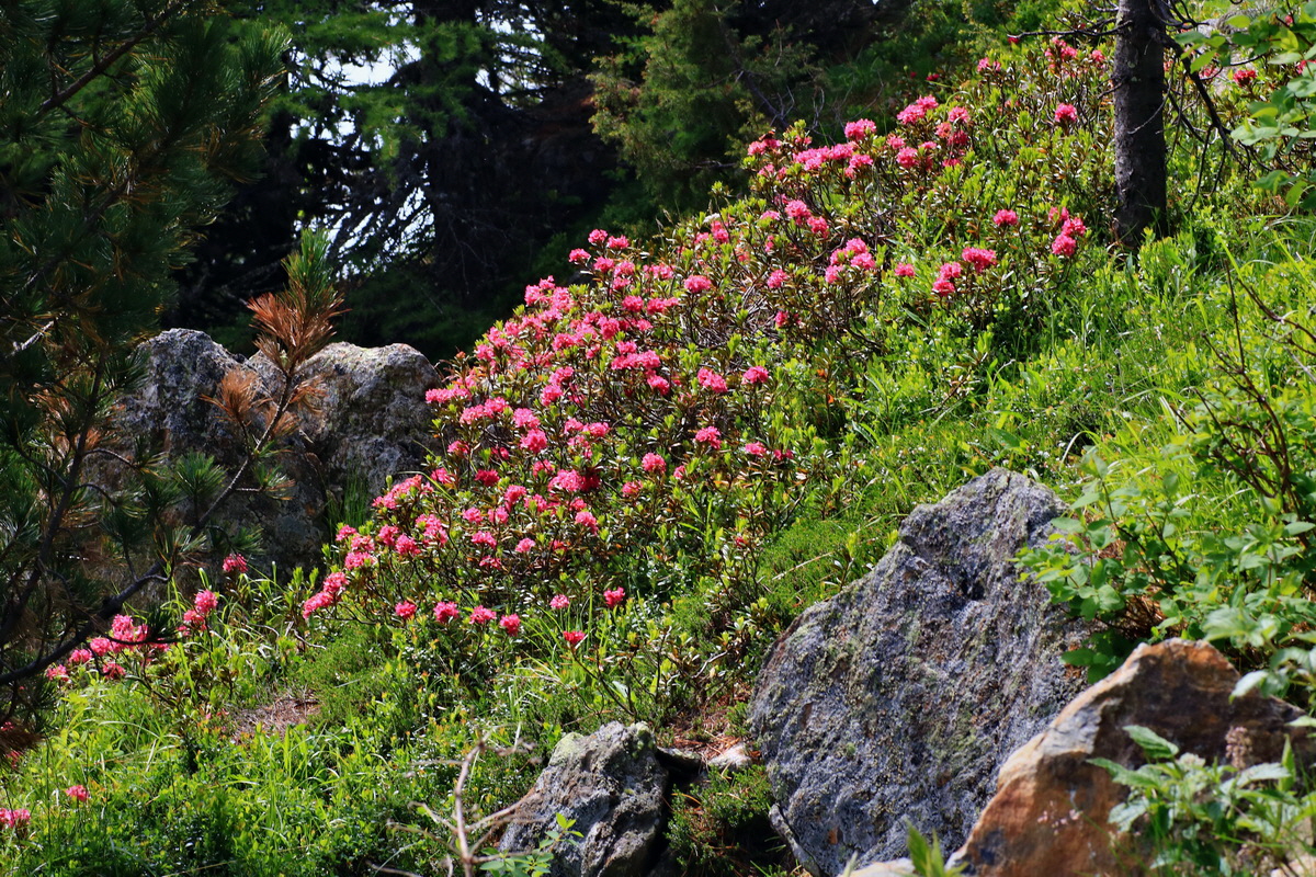 2015_06_14_002888p_Bildgr��e �ndern