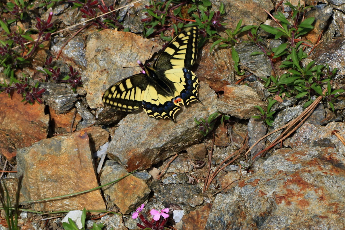 2015_06_14_002893ap_Bildgr��e �ndern