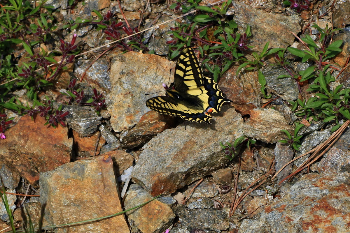 2015_06_14_002894ap_Bildgr��e �ndern