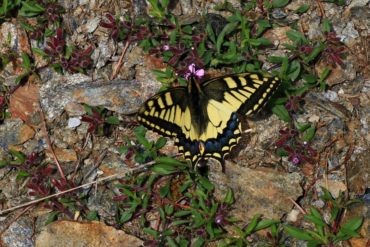 2015_06_14_002897ap_Bildgr��e �ndern