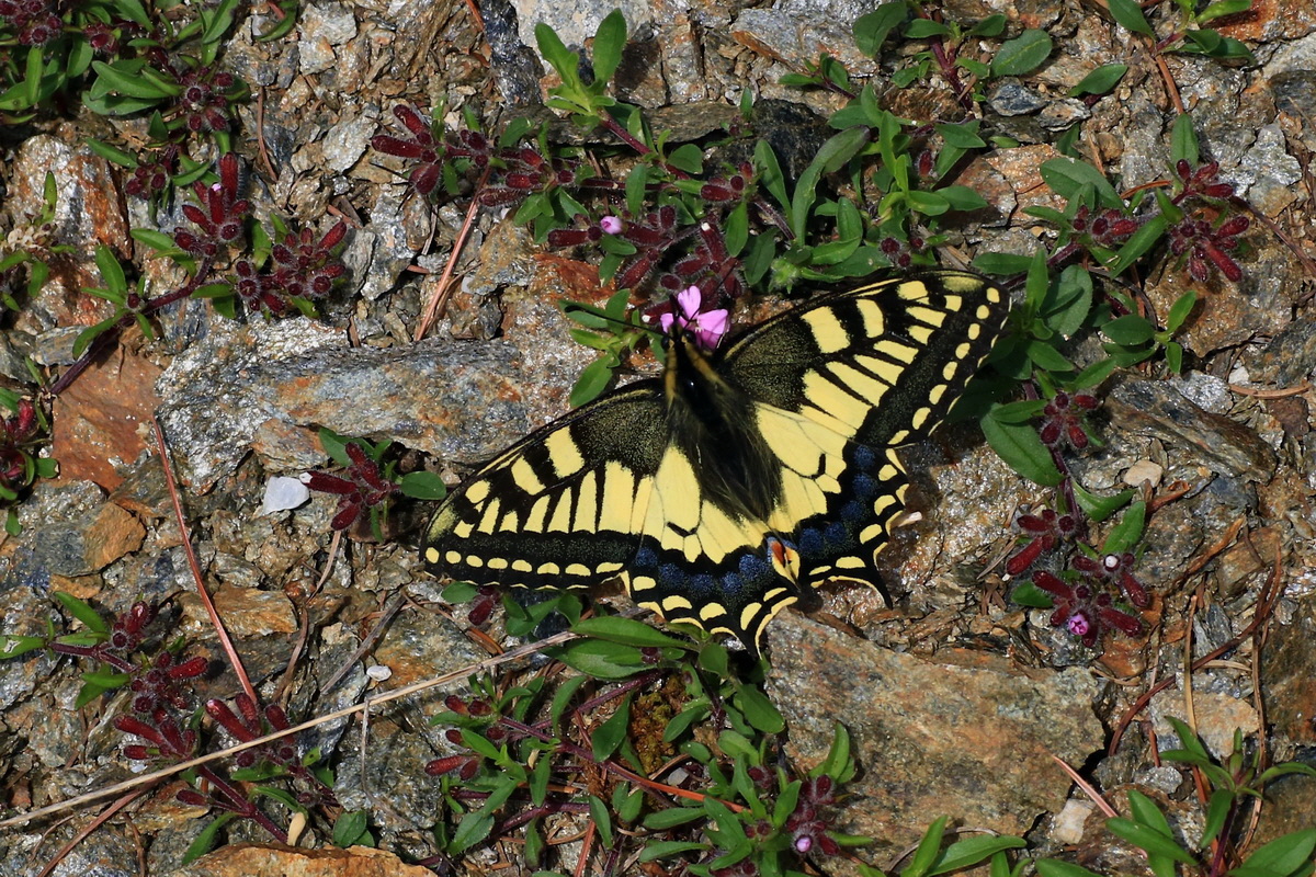 2015_06_14_002899ap_Bildgr��e �ndern