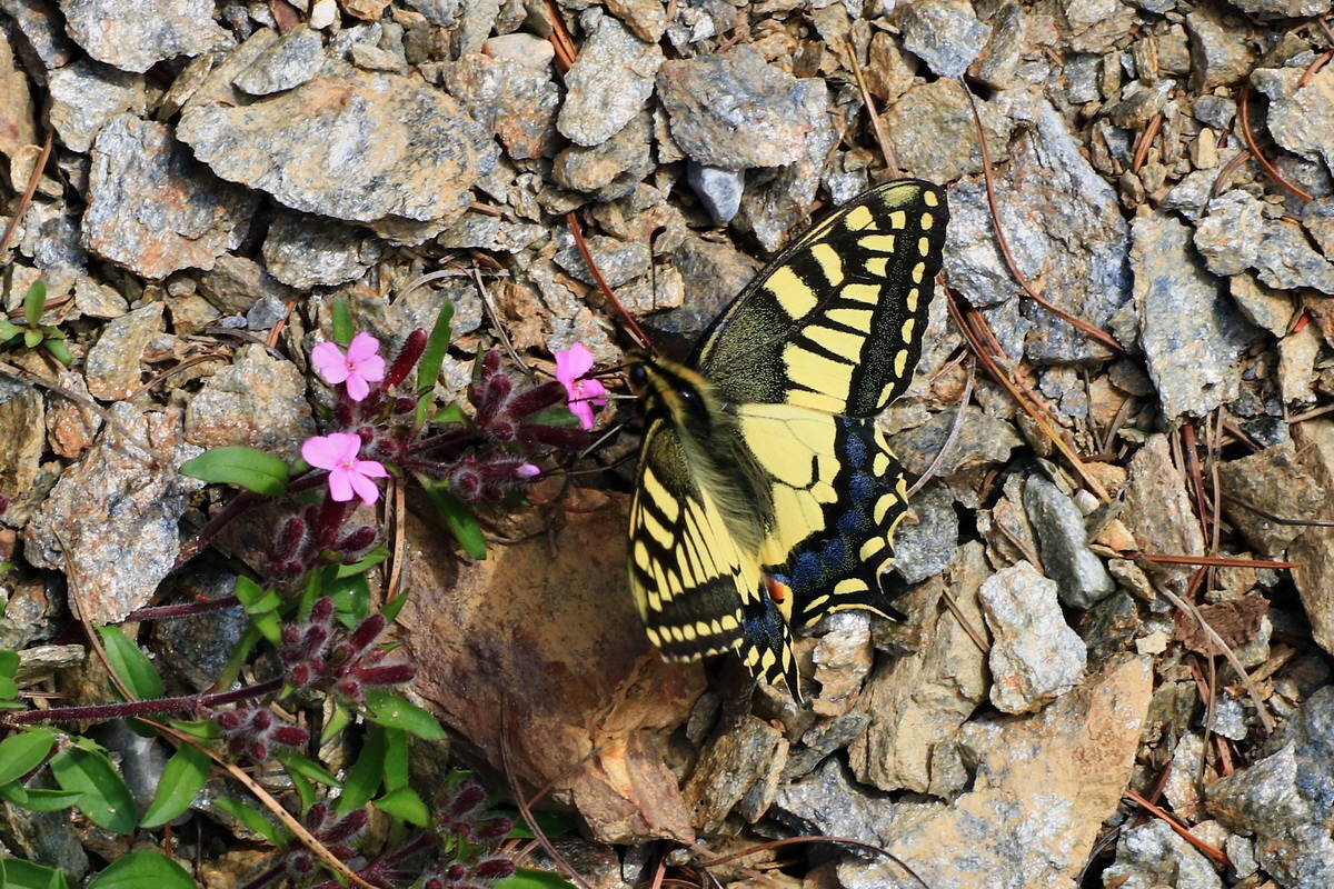 2015_06_14_002904ap_Bildgr��e �ndern