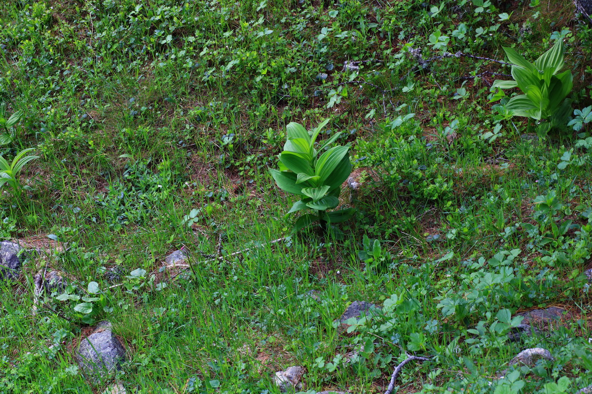 2015_06_14_002925p_Bildgr��e �ndern