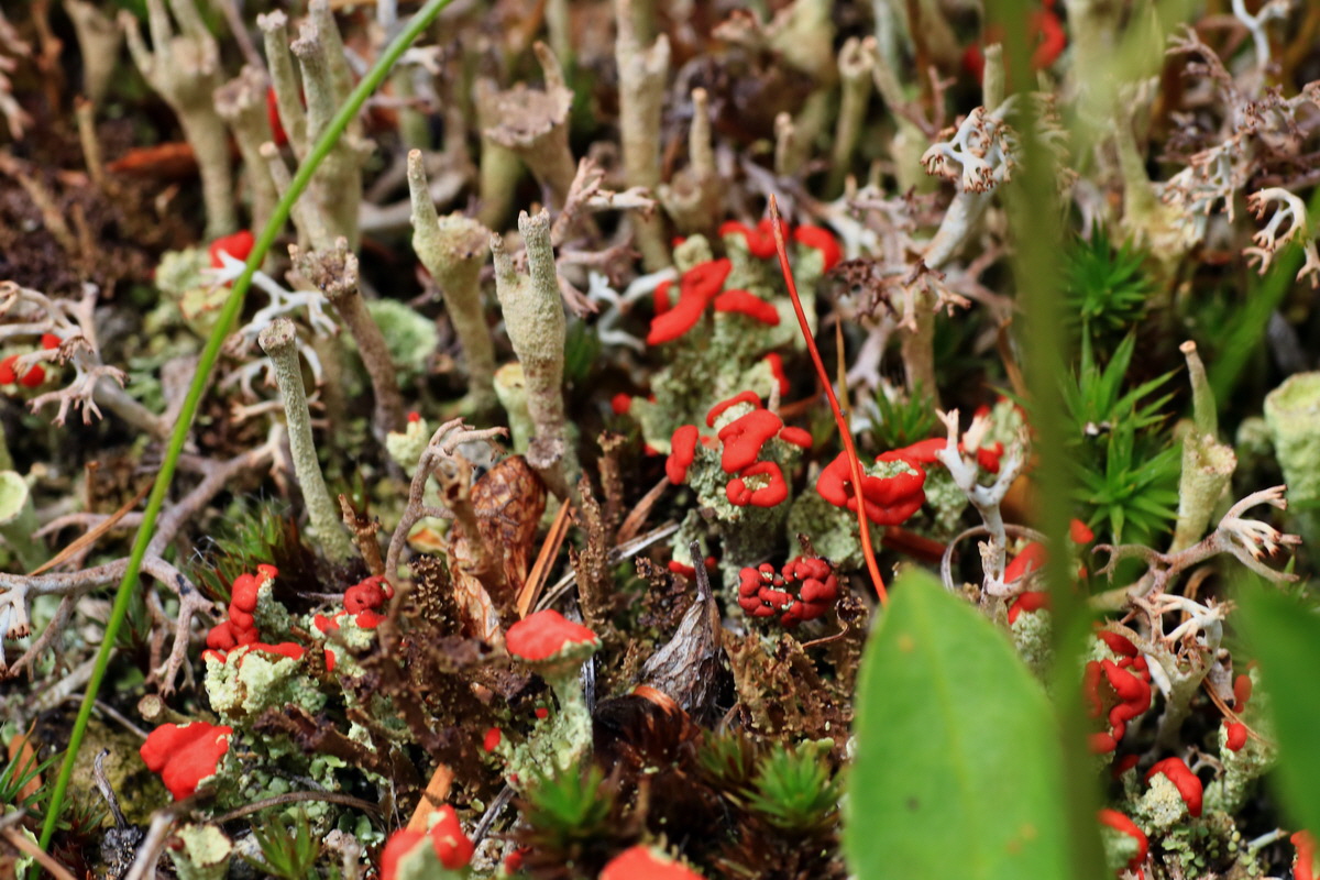 2015_06_14_002943p_Bildgr��e �ndern