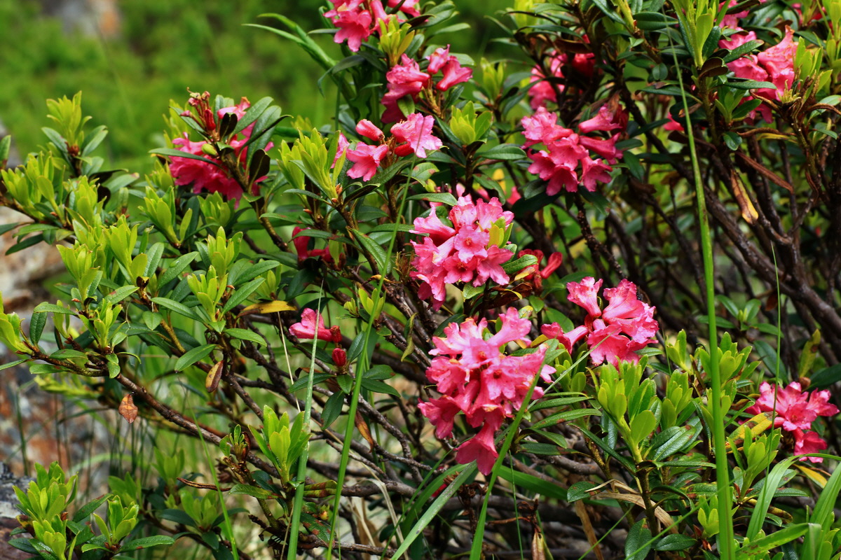 2015_06_14_002946p_Bildgr��e �ndern