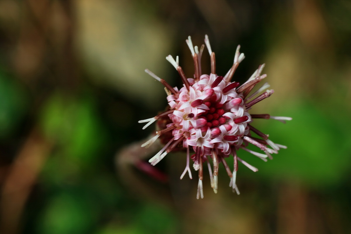 2015_06_14_002953p_Bildgr��e �ndern