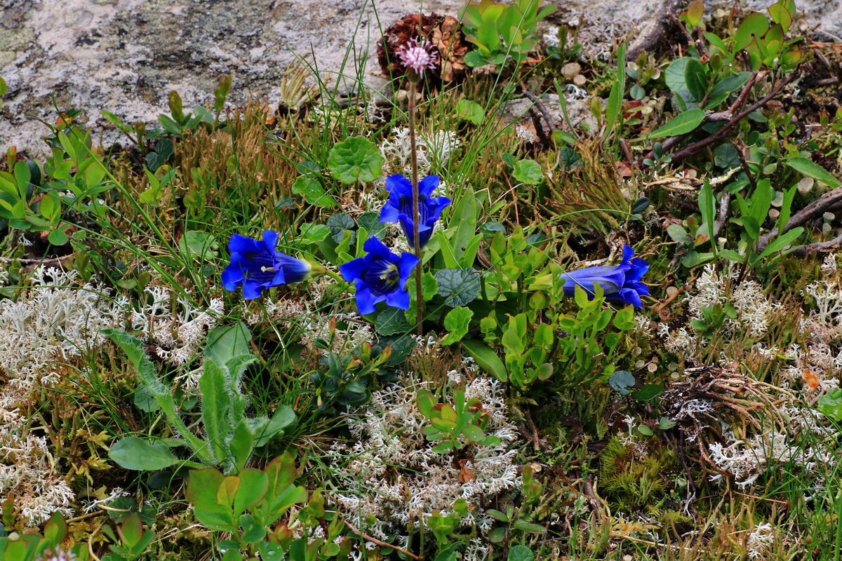 2015_06_14_002965p_Bildgr��e �ndern