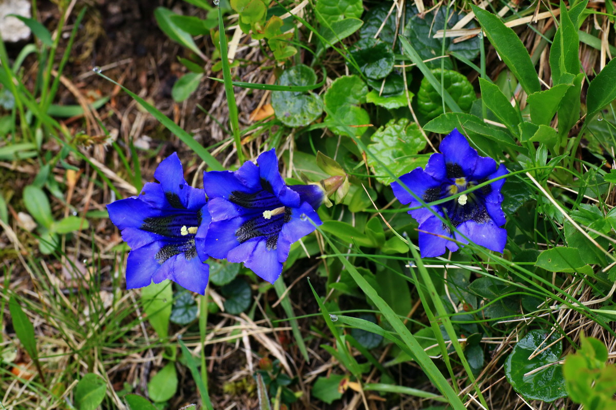 2015_06_14_002969p_Bildgr��e �ndern