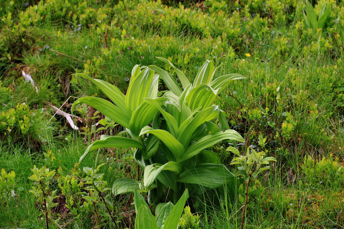 2015_06_14_002972p_Bildgr��e �ndern