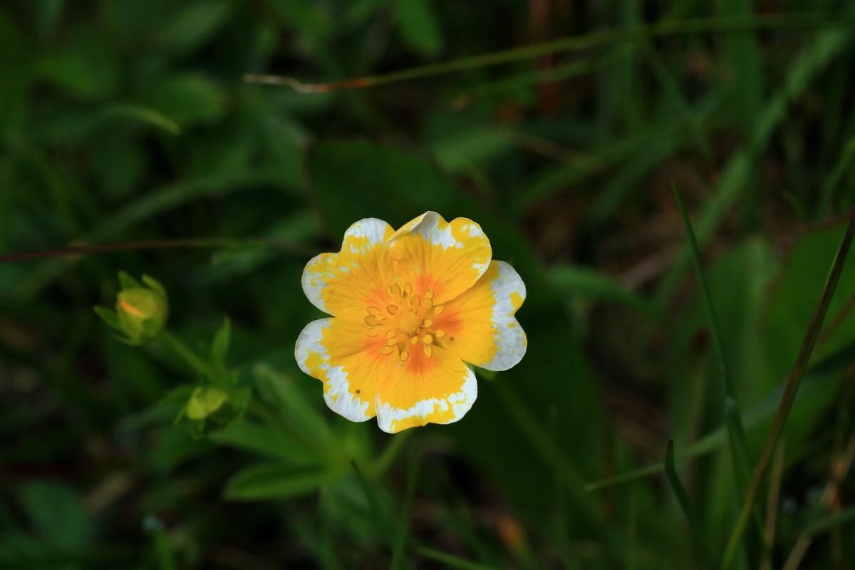 2015_06_14_002973p_Bildgr��e �ndern