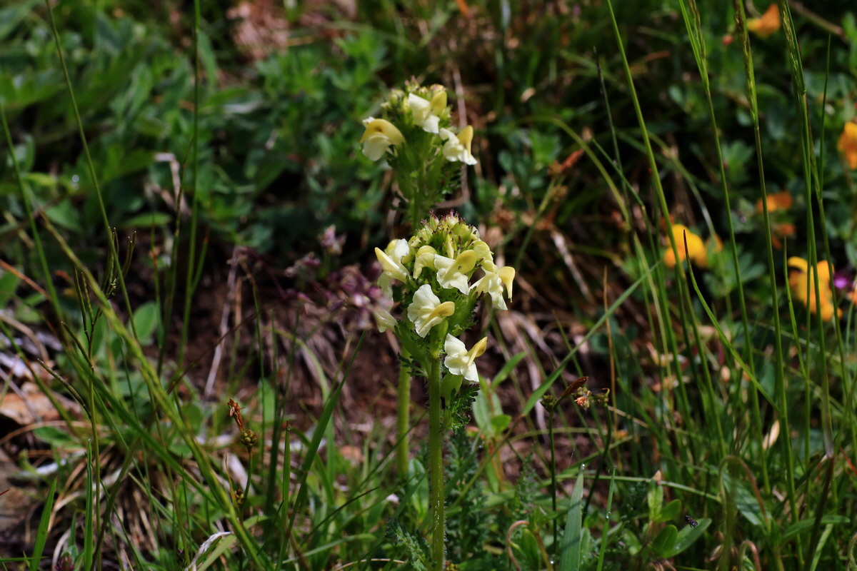 2015_06_14_002977p_Bildgr��e �ndern