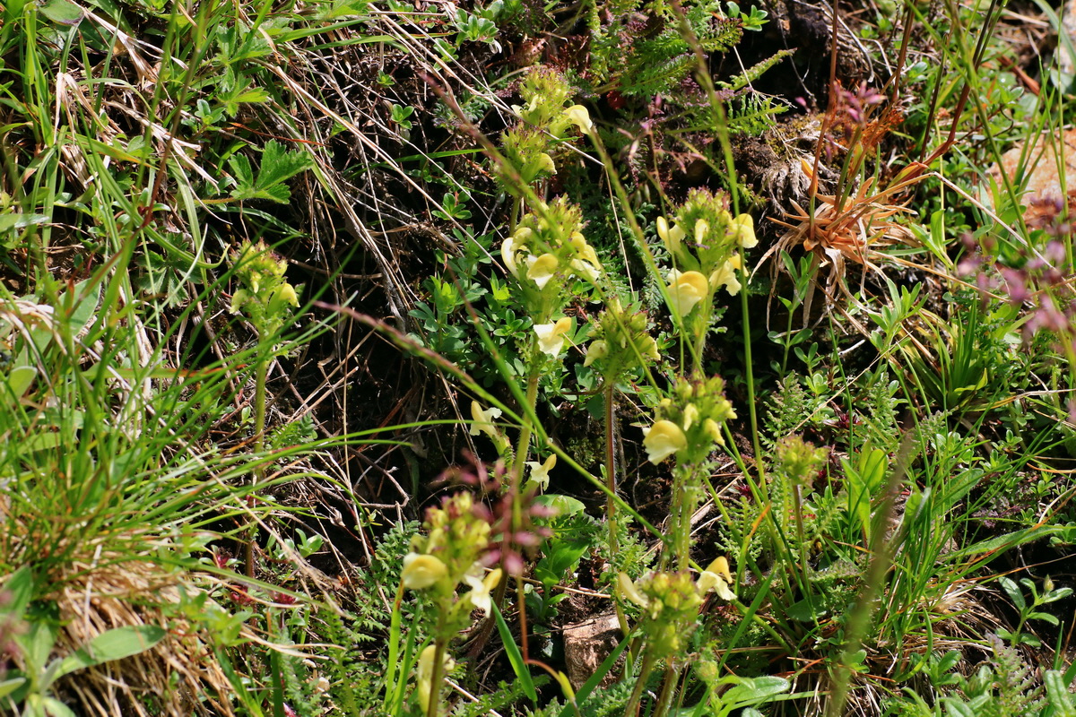 2015_06_14_002980p_Bildgr��e �ndern